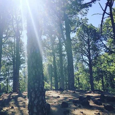 Aridane Loft Appartamento *