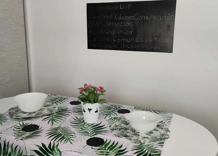 Aridane Loft * Los Llanos De Aridane