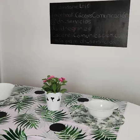 Aridane Loft * Лос-Льянос-де-Аридане